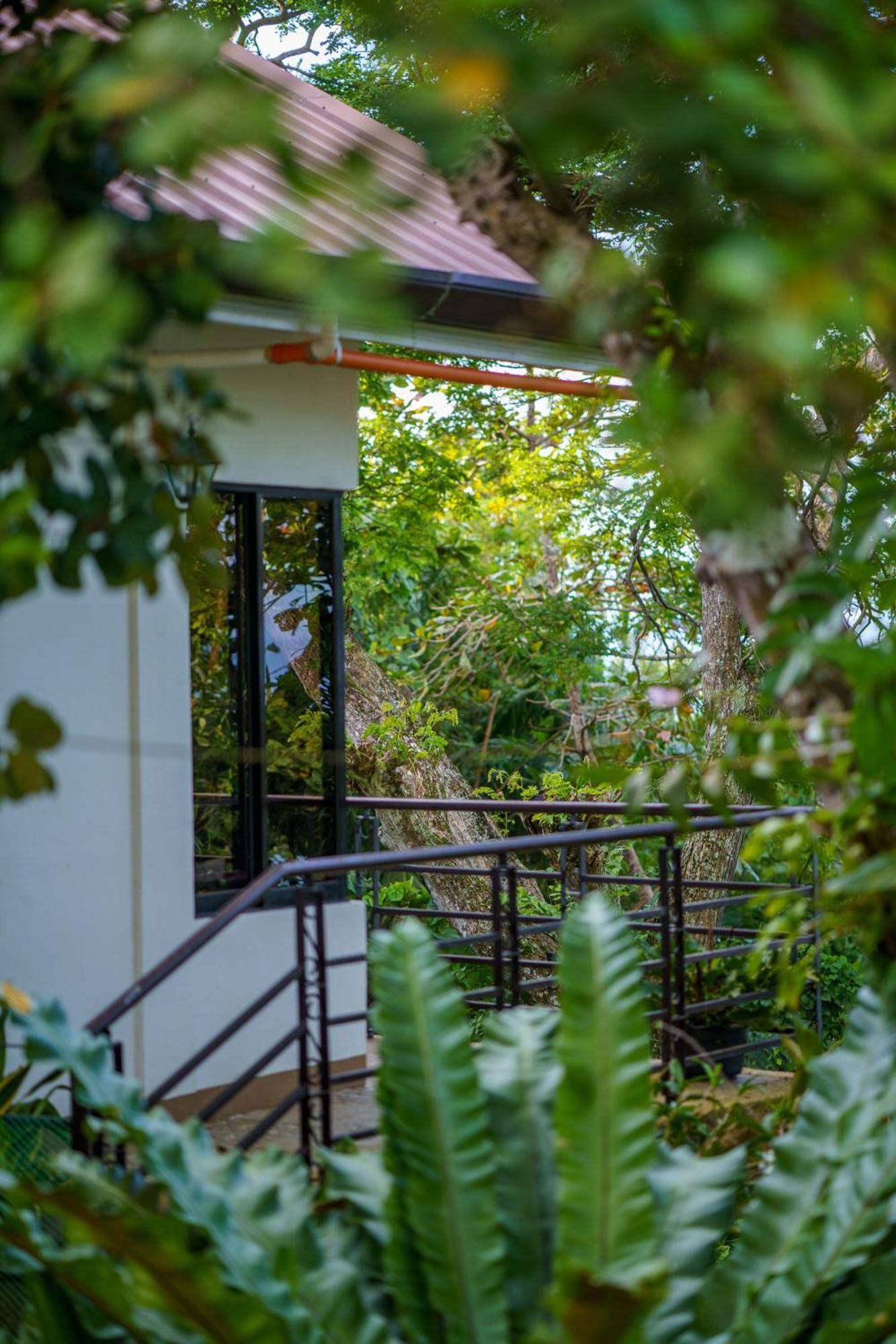 Oceanside 2 Bedroom House, 100Mbps Wifi Панглао Екстериор снимка