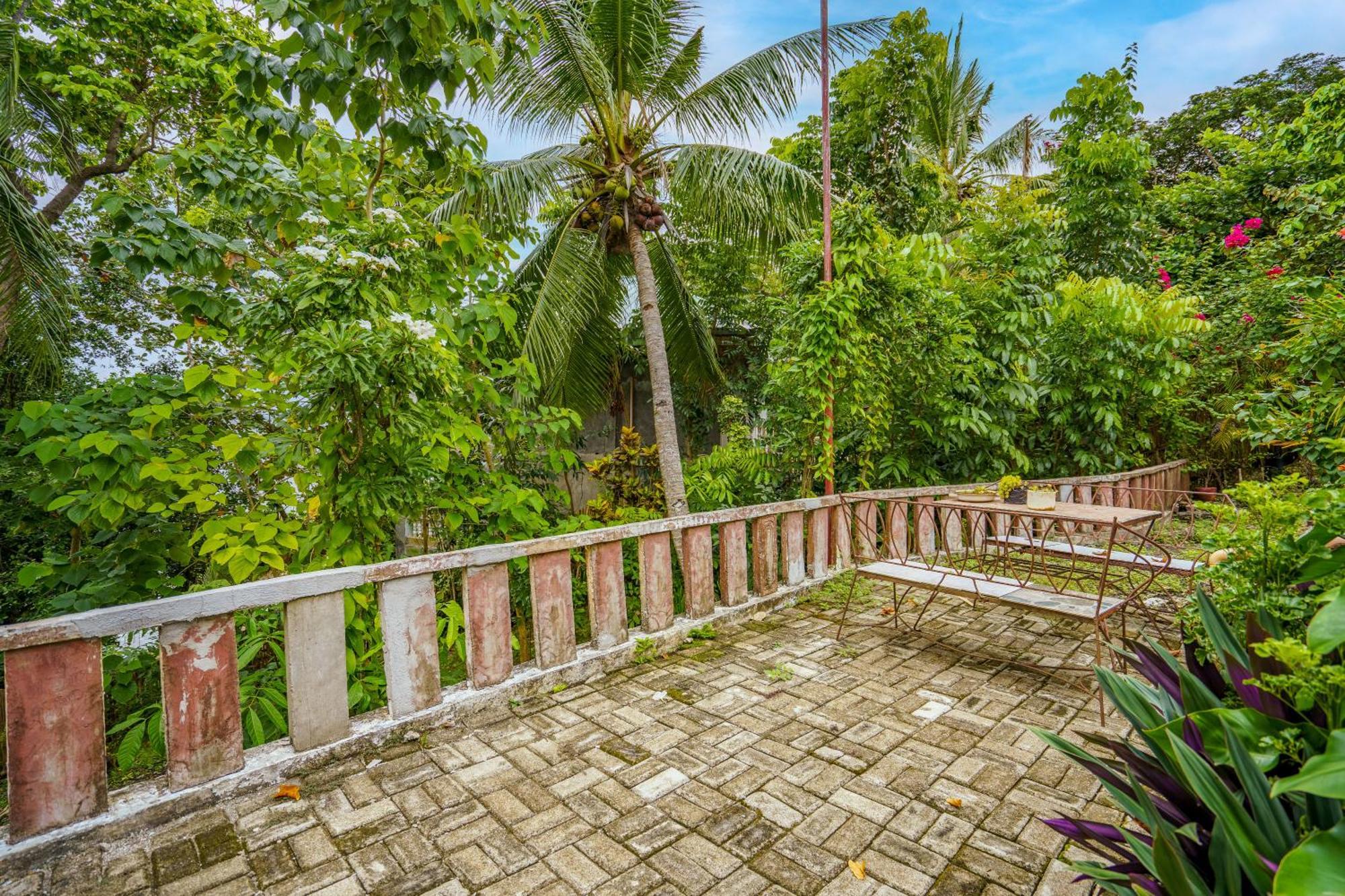 Oceanside 2 Bedroom House, 100Mbps Wifi Панглао Екстериор снимка