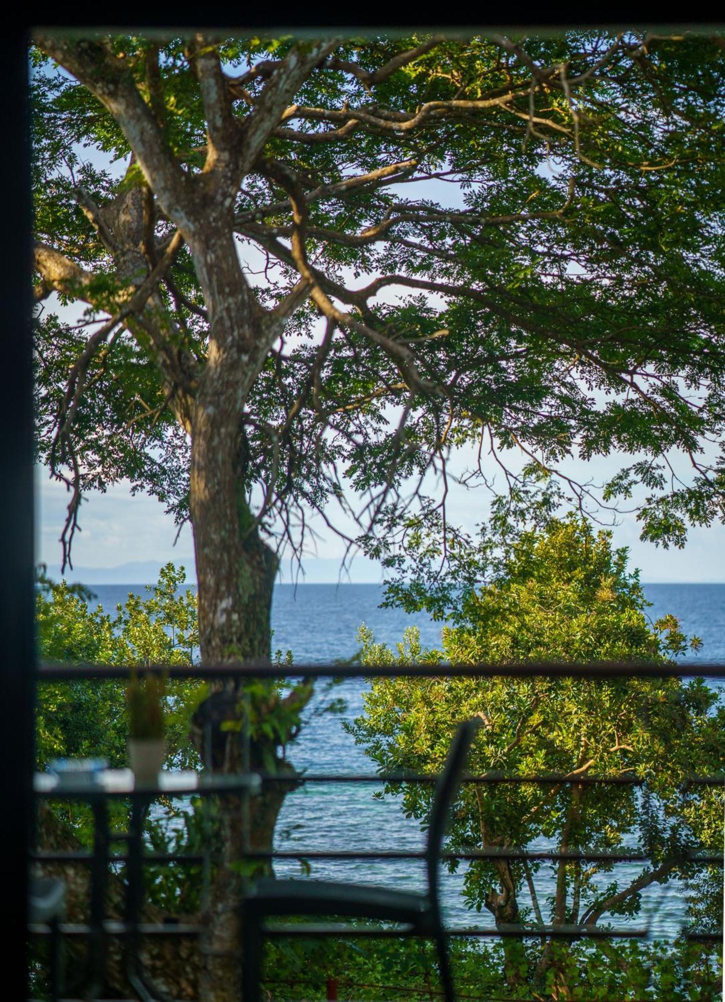 Oceanside 2 Bedroom House, 100Mbps Wifi Панглао Екстериор снимка