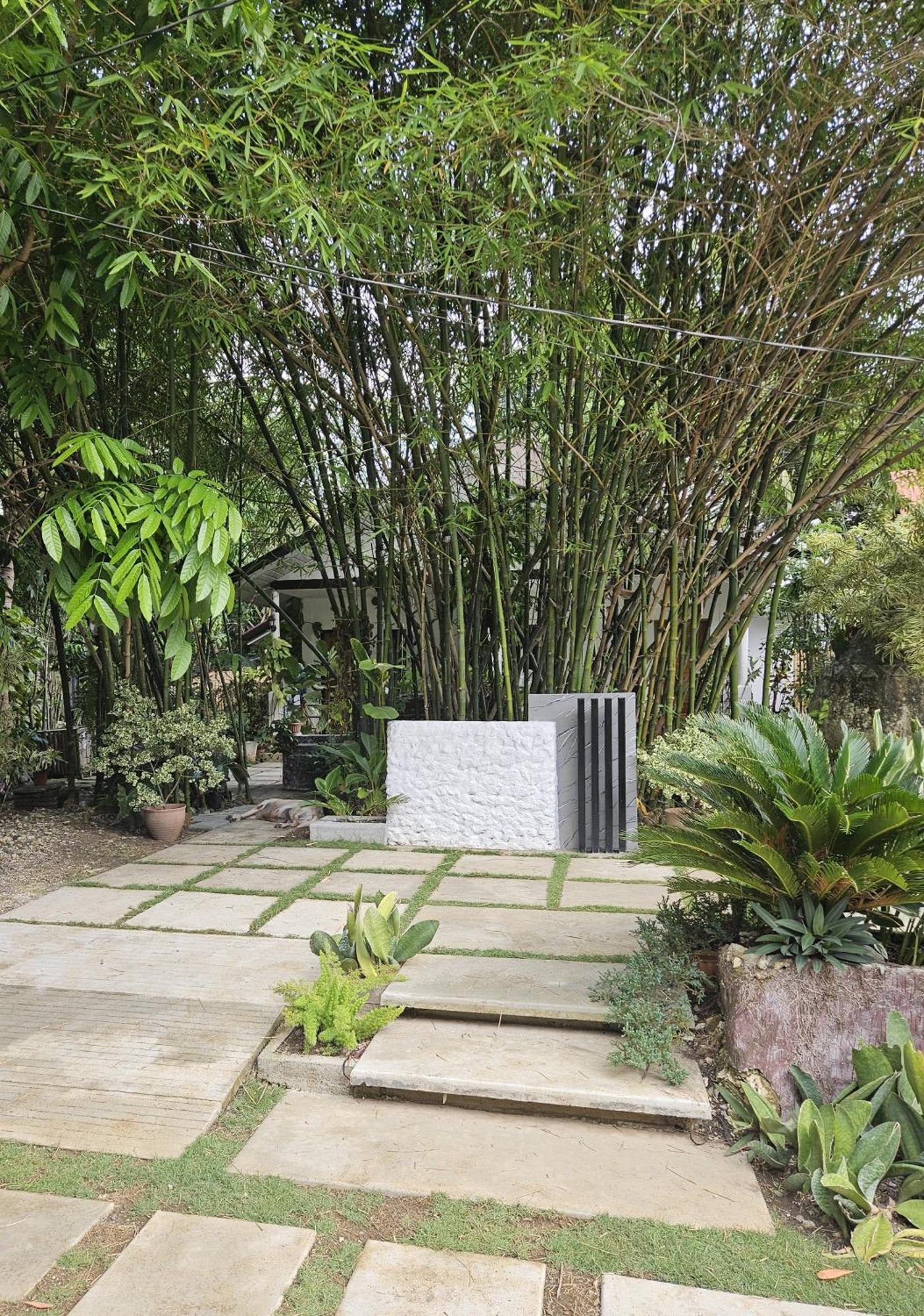 Oceanside 2 Bedroom House, 100Mbps Wifi Панглао Екстериор снимка